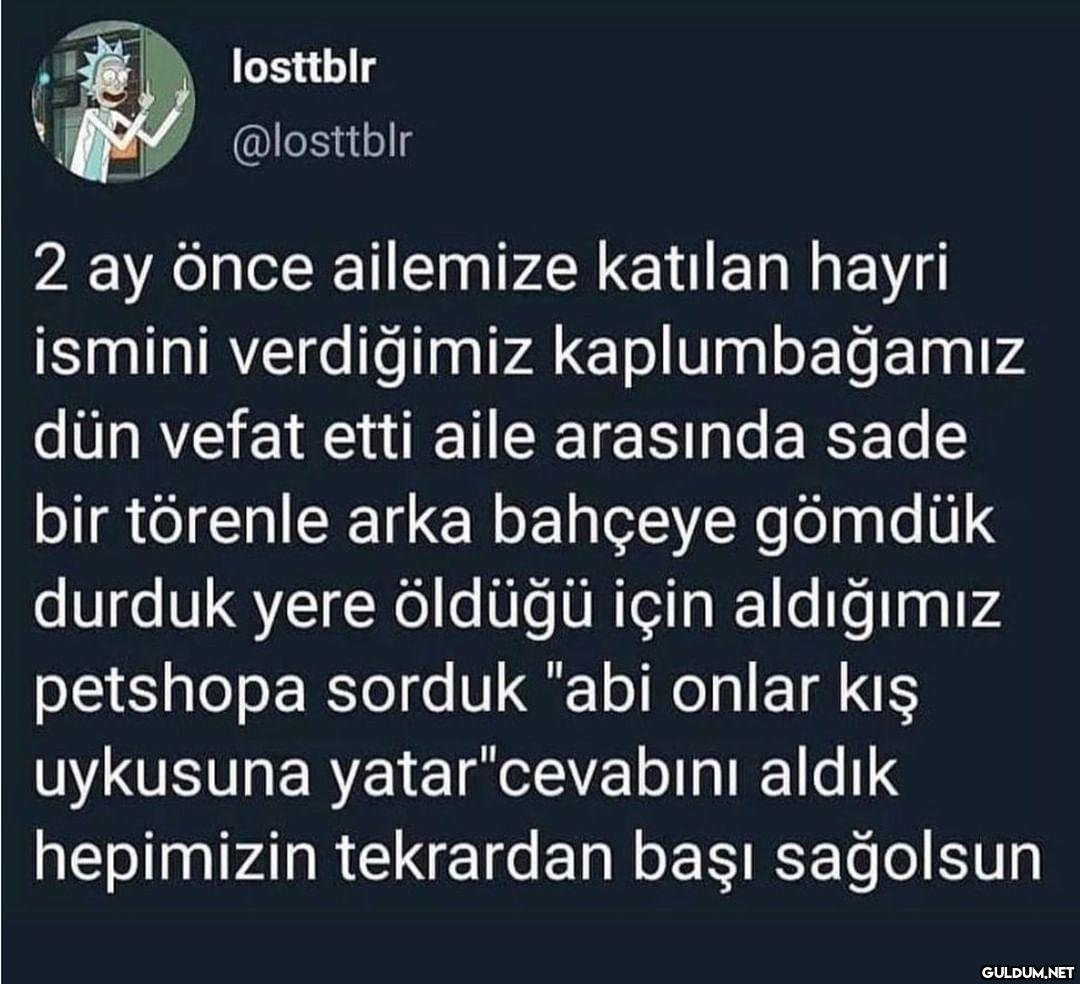 losttblr @losttblr 2 ay...