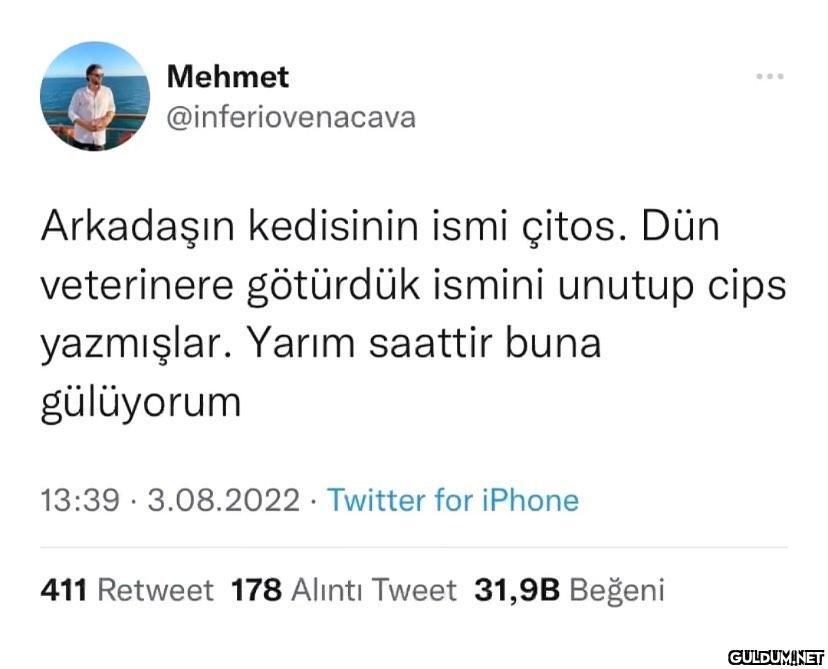 Mehmet @inferiovenacava...
