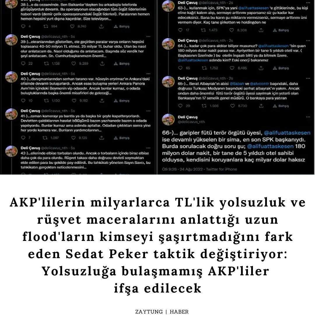 #zaytung   Kaynak