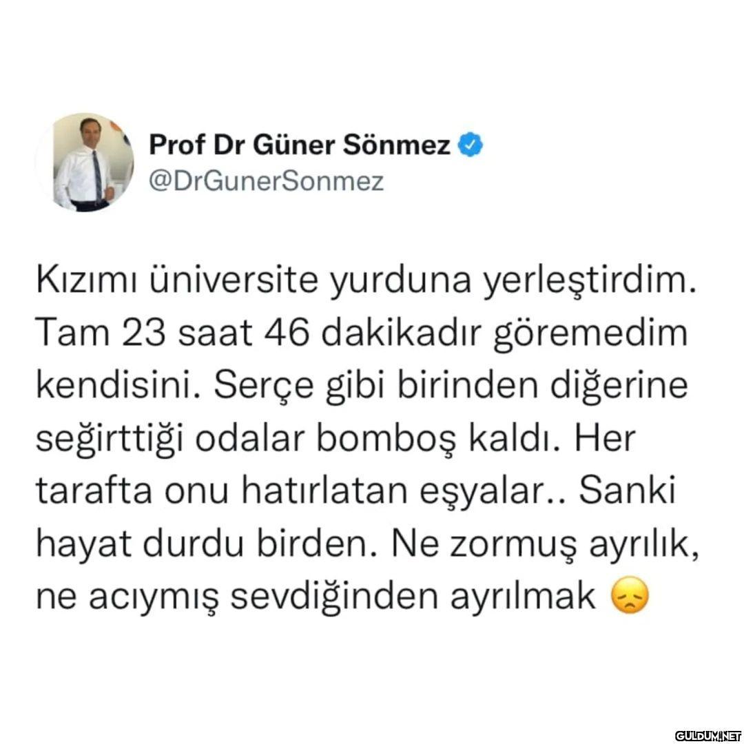 Prof Dr Güner Sönmez...