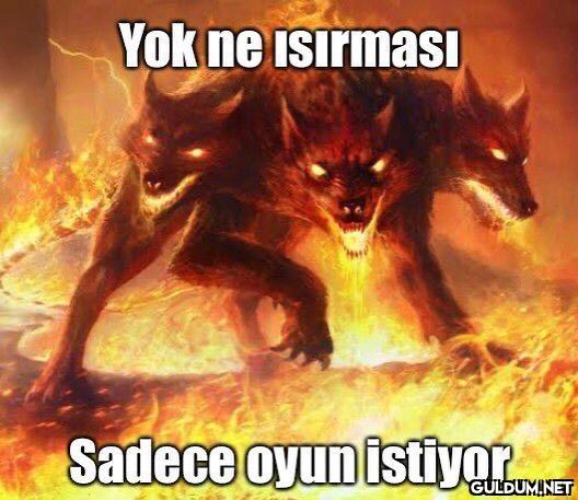 abi sevdirir mi    Yok ne...