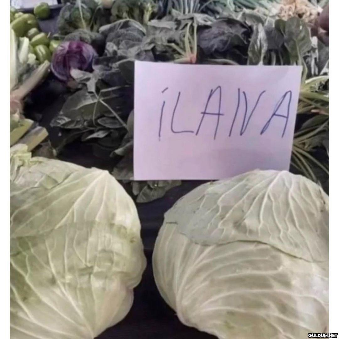 Can eşimle semazen keyfi...