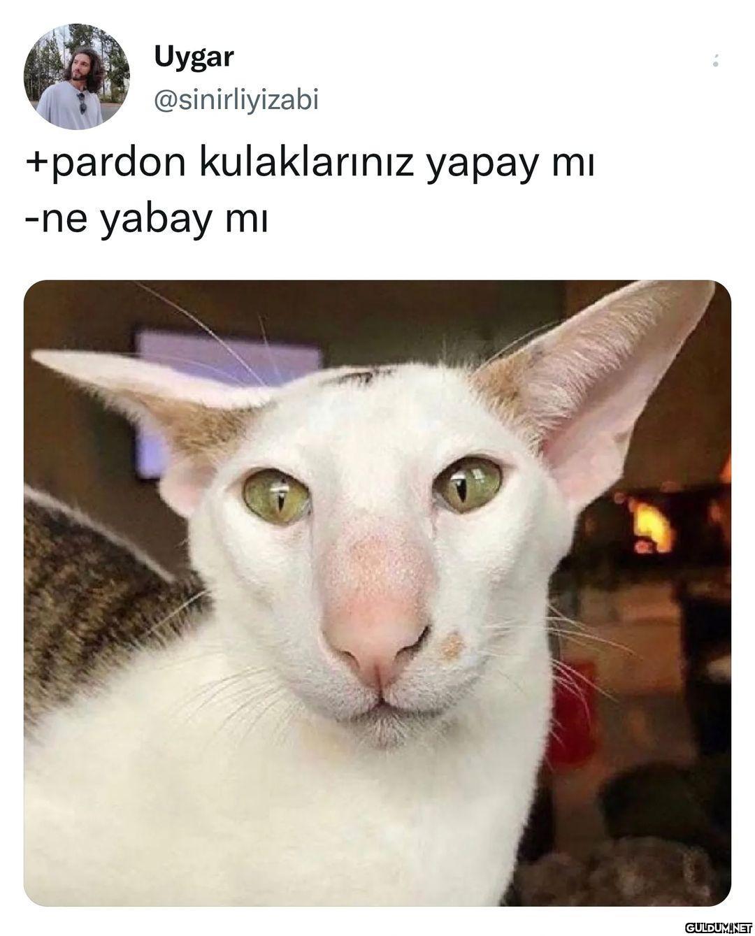 Uygar @sinirliyizabi...
