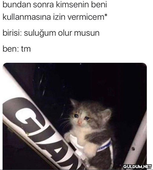 ömer abi beni avm ye...