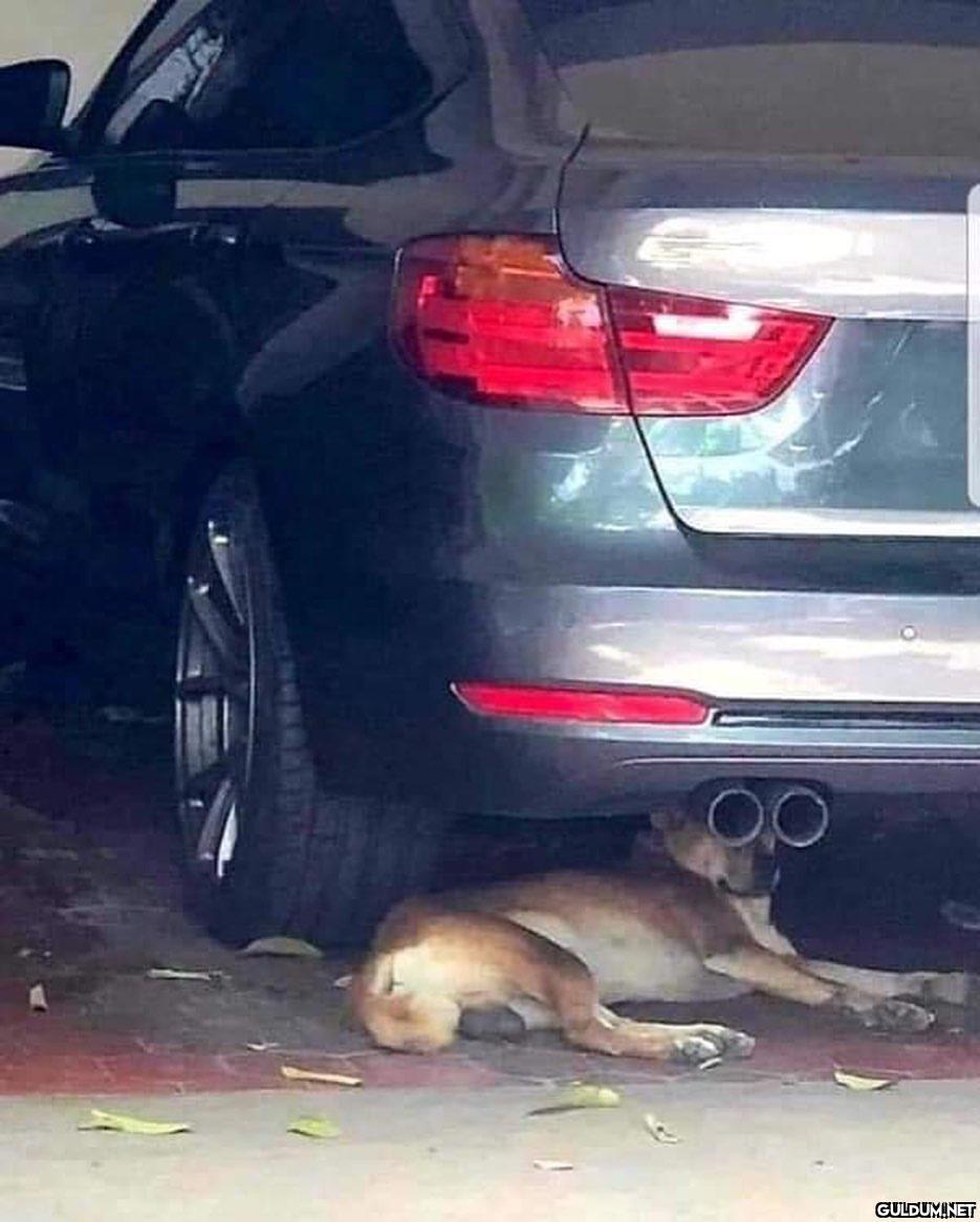 anlamsız fotoğraflar 2002 ...