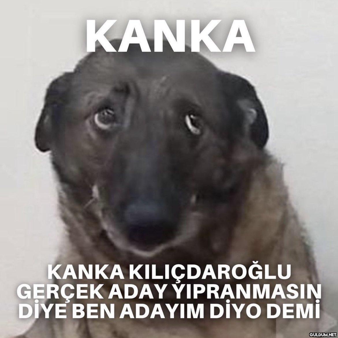 https://t.co/dLQv9si35Y ...