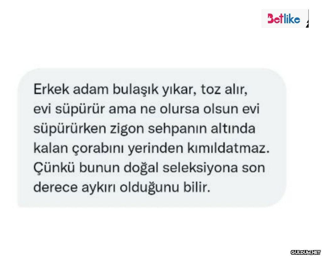 Betlike Erkek adam bulaşık...