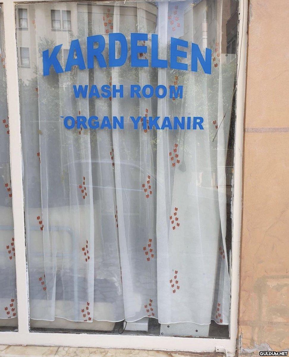 KARDELEN WASH ROOM ORGAN...