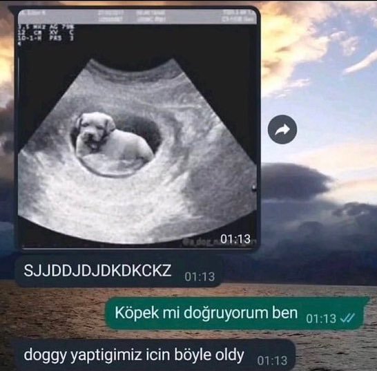 😶 https://t.co/XPJcqIg5uO ...