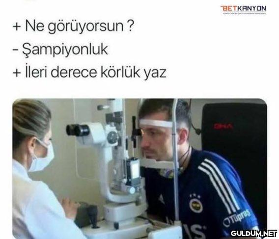 + Ne görüyorsun? -...