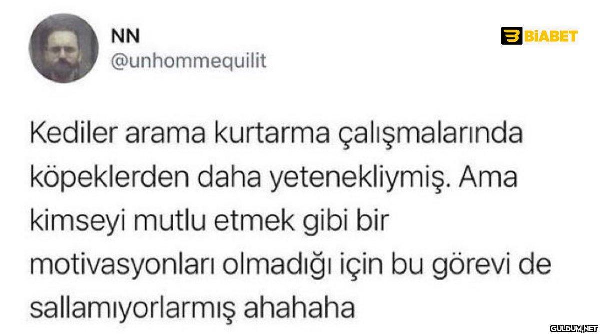 NN @unhommequilit 3 BİABET...