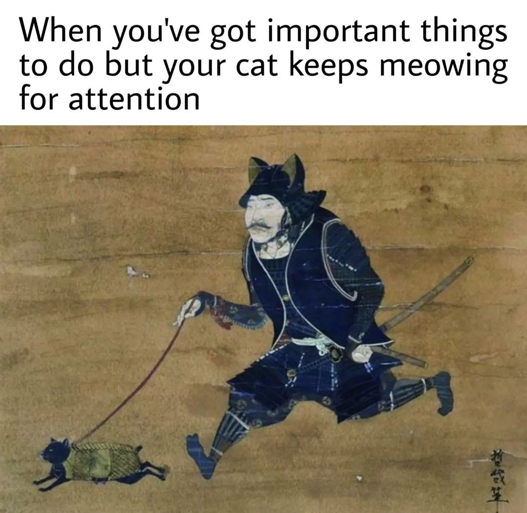 🐈 Tag a cat lover! ⤵️ . ....