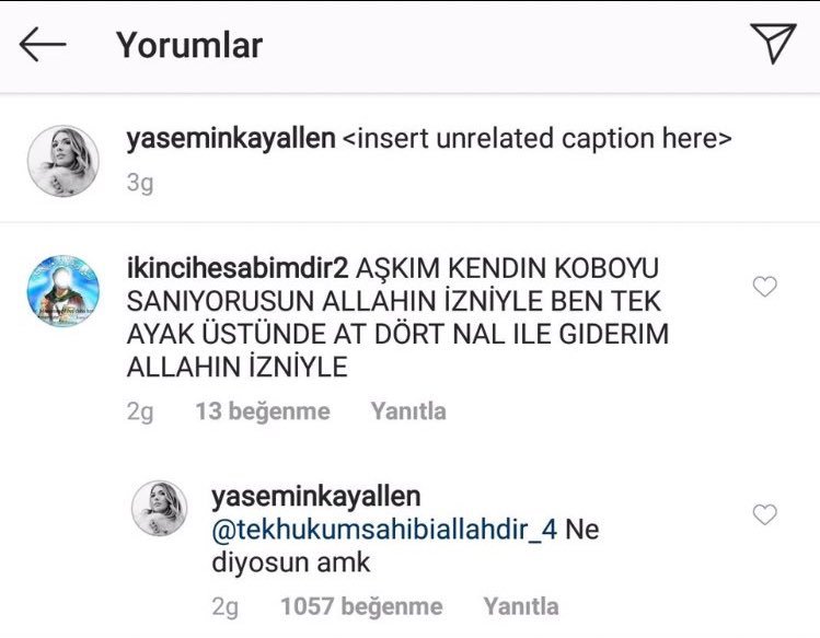 Yasemin Kay Allen’in...