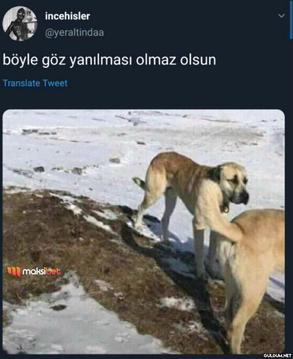incehisler @yeraltindaa...