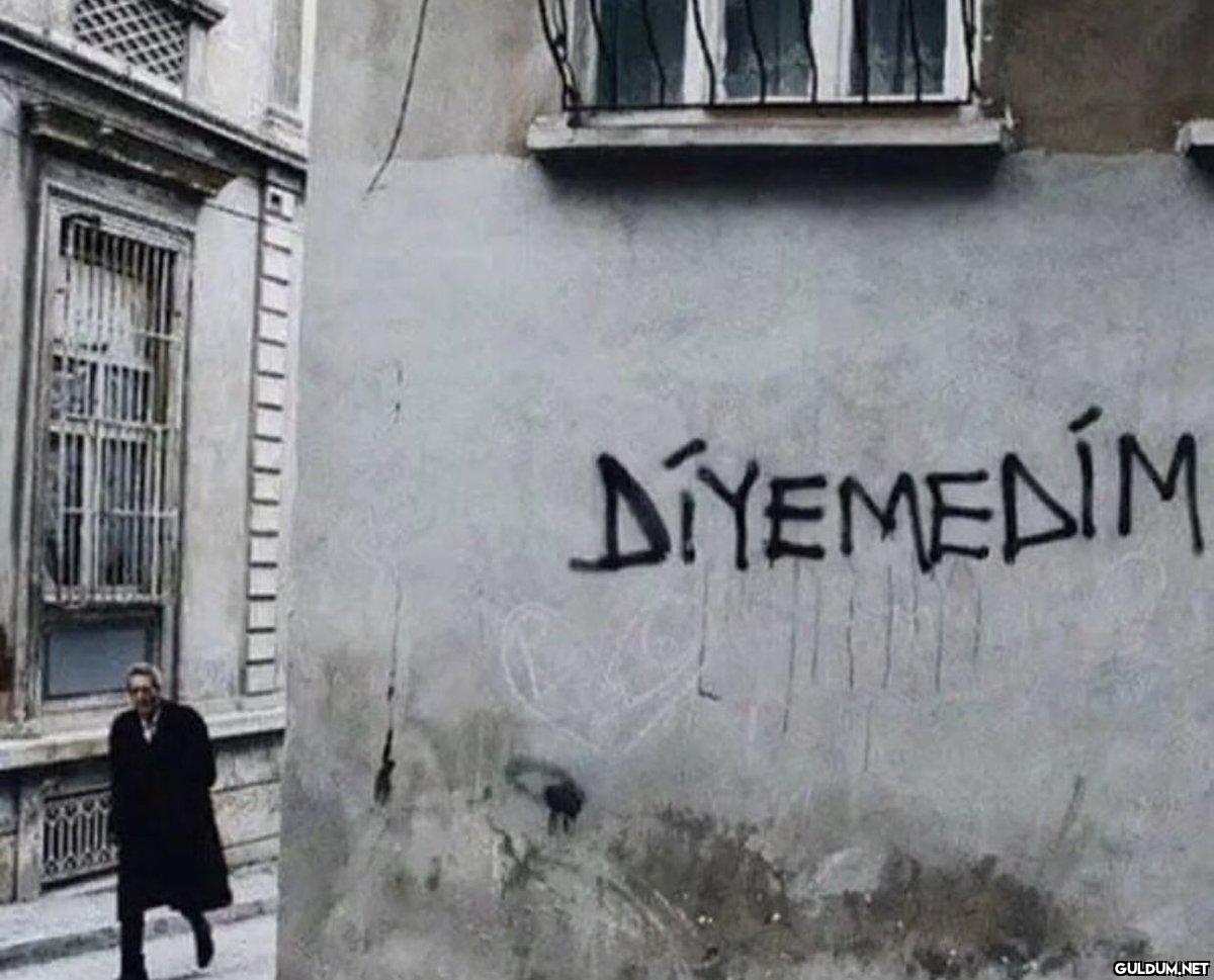 Diyemediklerimizi...