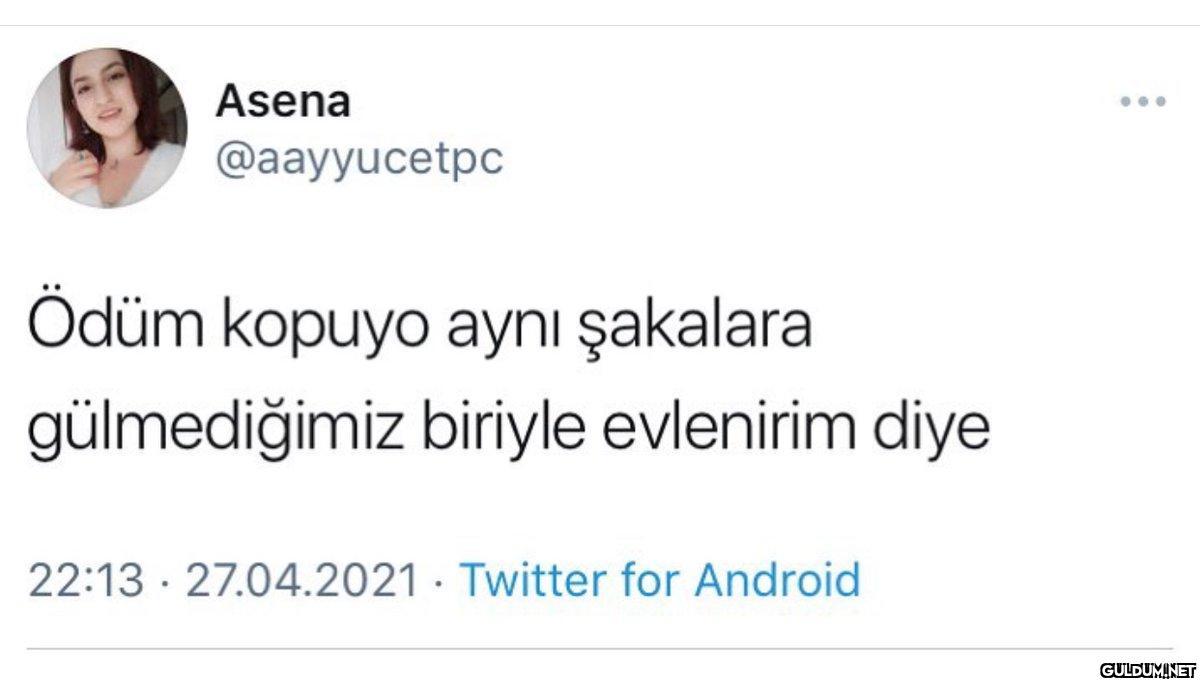 Asena @aayyucetpc Ödüm...