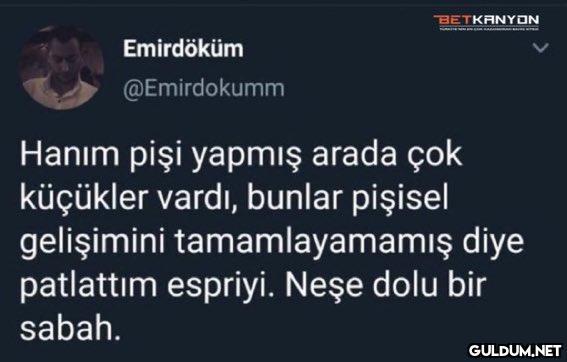 Emirdöküm @Emirdokumm...