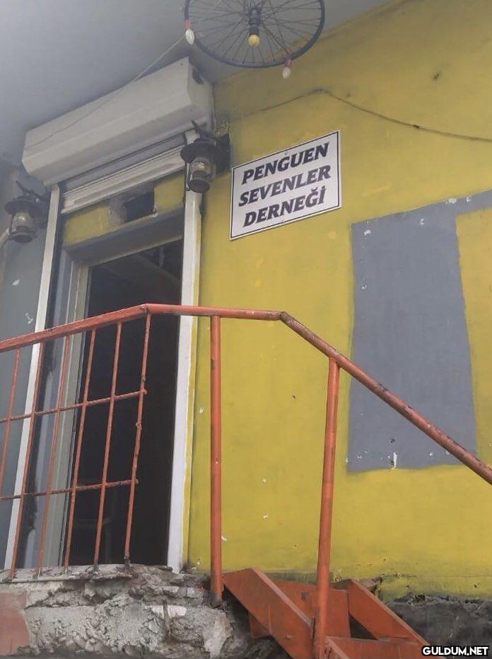 PENGUEN SEVENLER DERNEĞİ     Kaynak