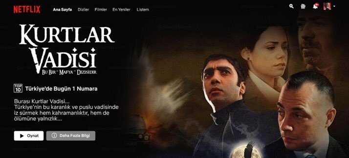 Kurtlar Vadisi Netflixte...