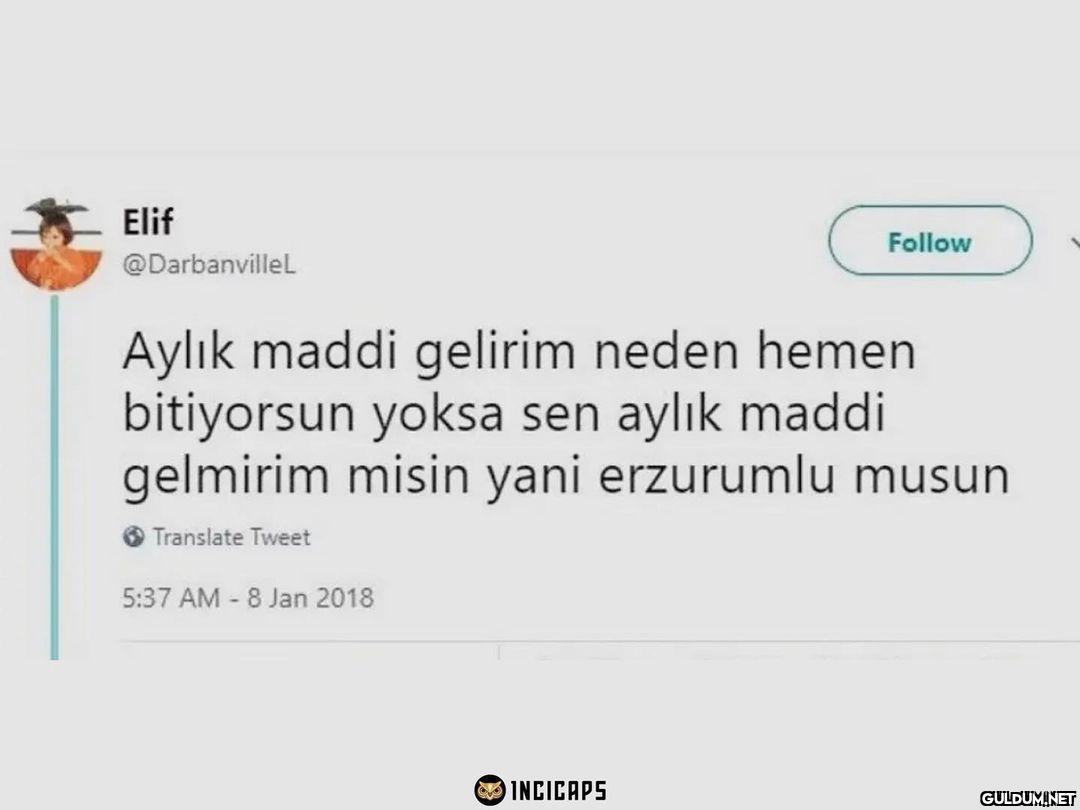 Elif @DarbanvilleL Aylık...