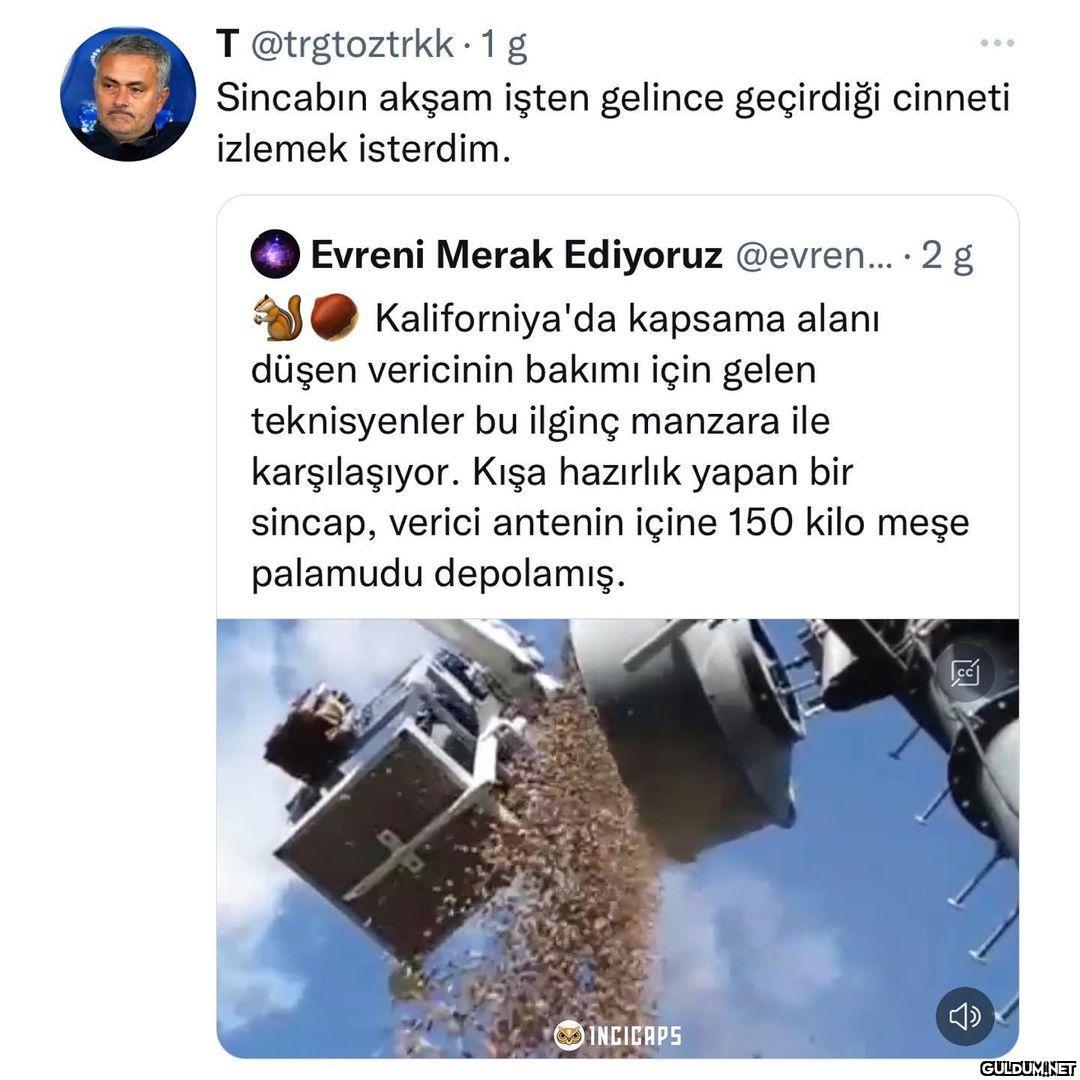 T @trgtoztrkk-1g Sincabın...