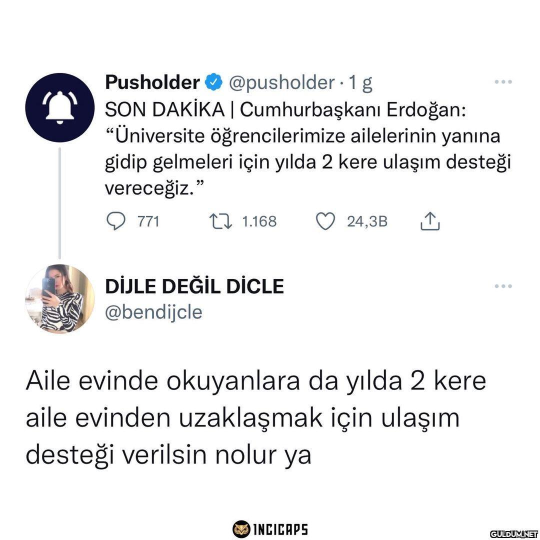 Pusholder @pusholder 1 g...