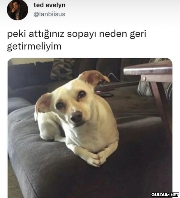 https://t.co/EhCddCoTWz ...