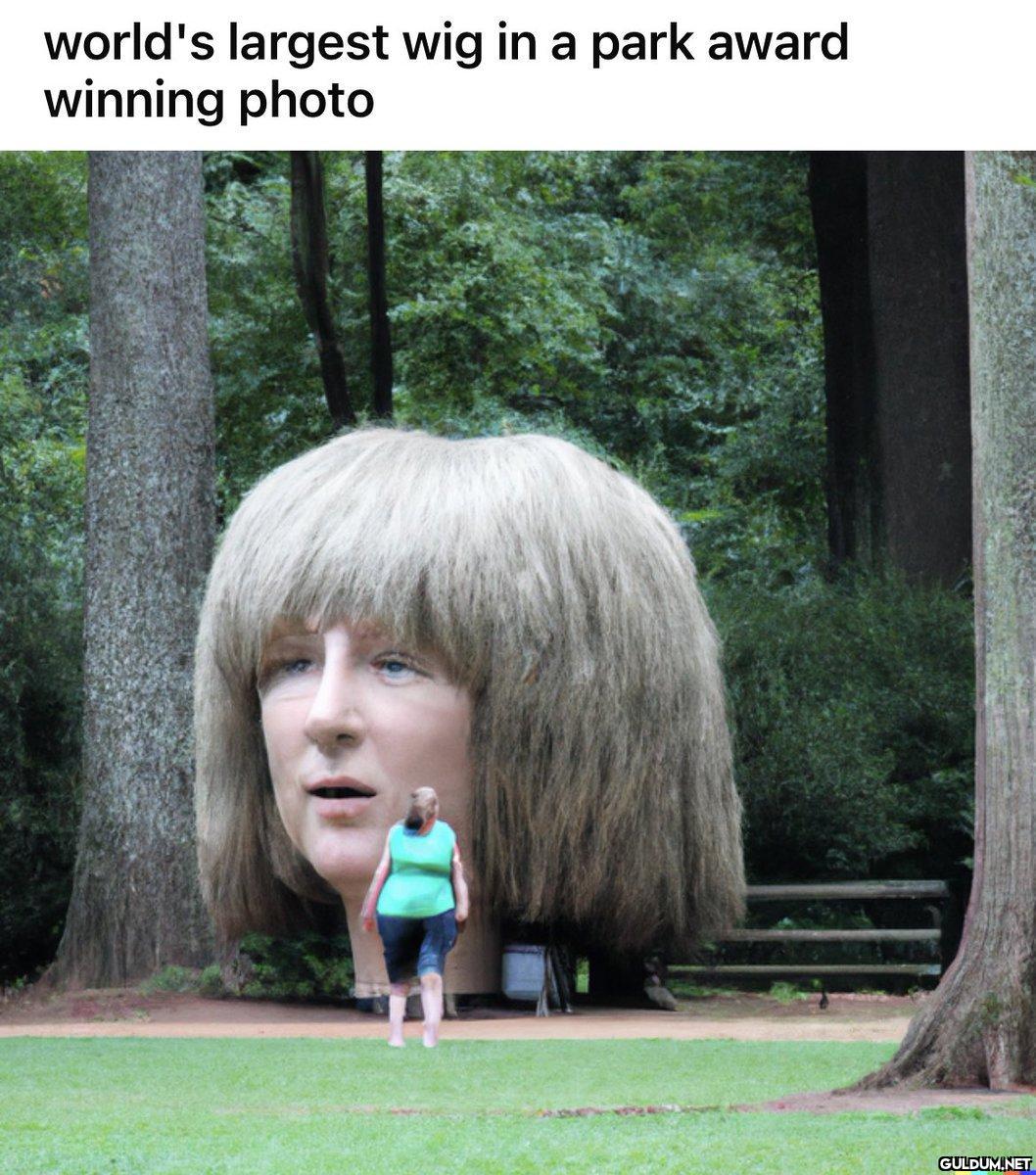 world's largest wig in a...