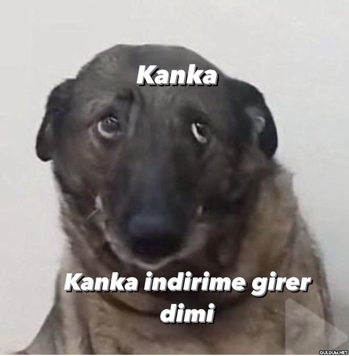 Kanka Kanka indirime girer...