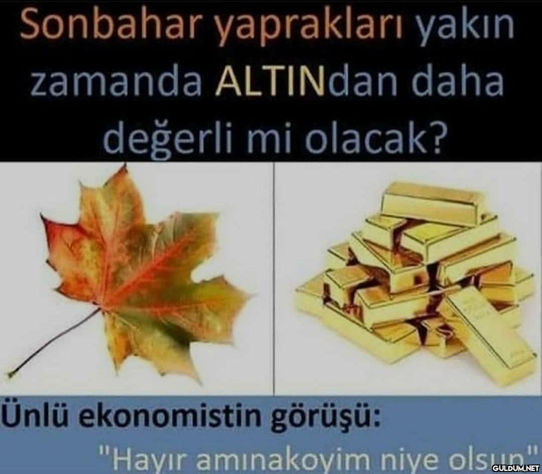 Sonbahar yaprakları yakın...