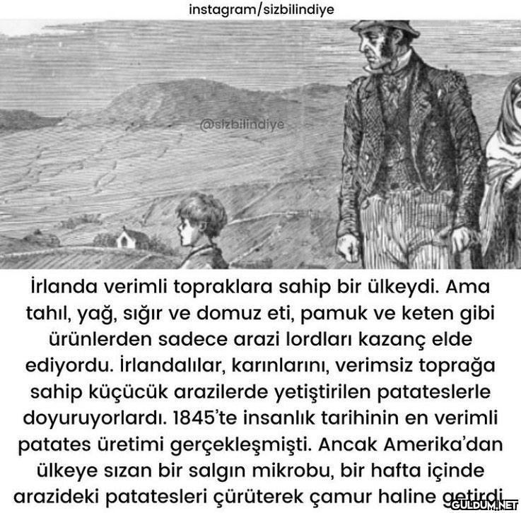 Patates diyip geçmeyin :)...