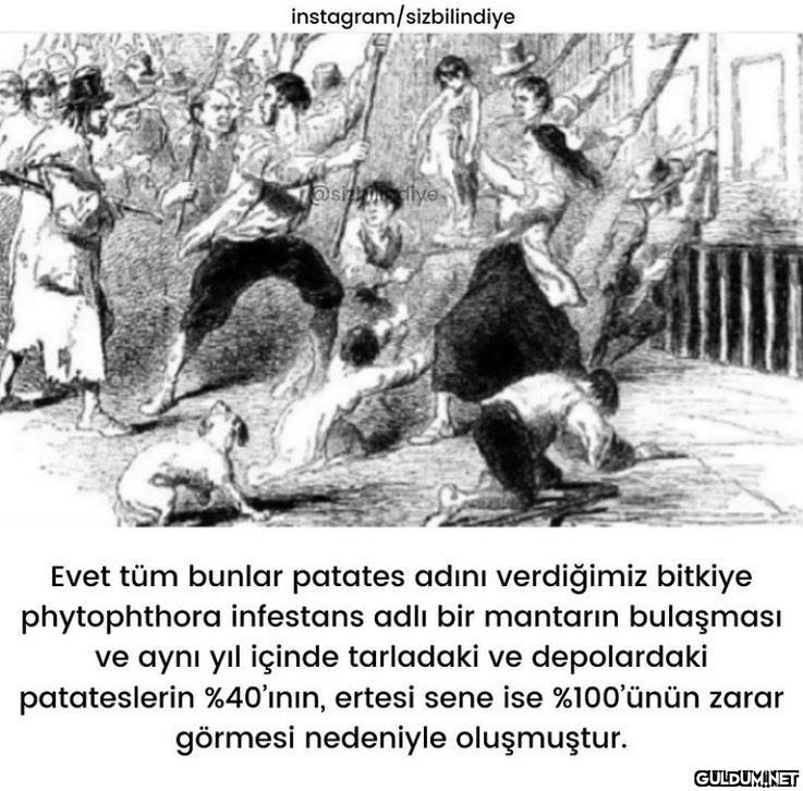 Patates diyip geçmeyin :)...
