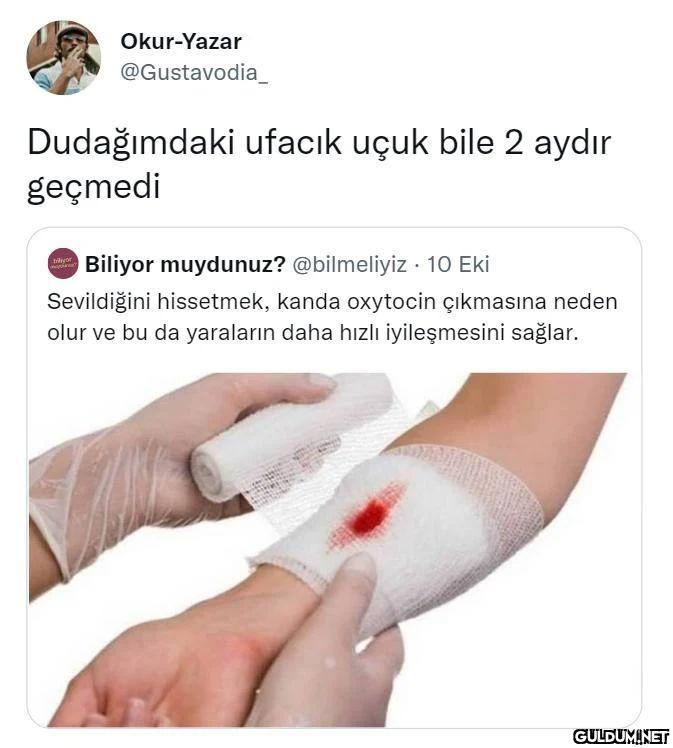 Okur-Yazar @Gustavodia_...