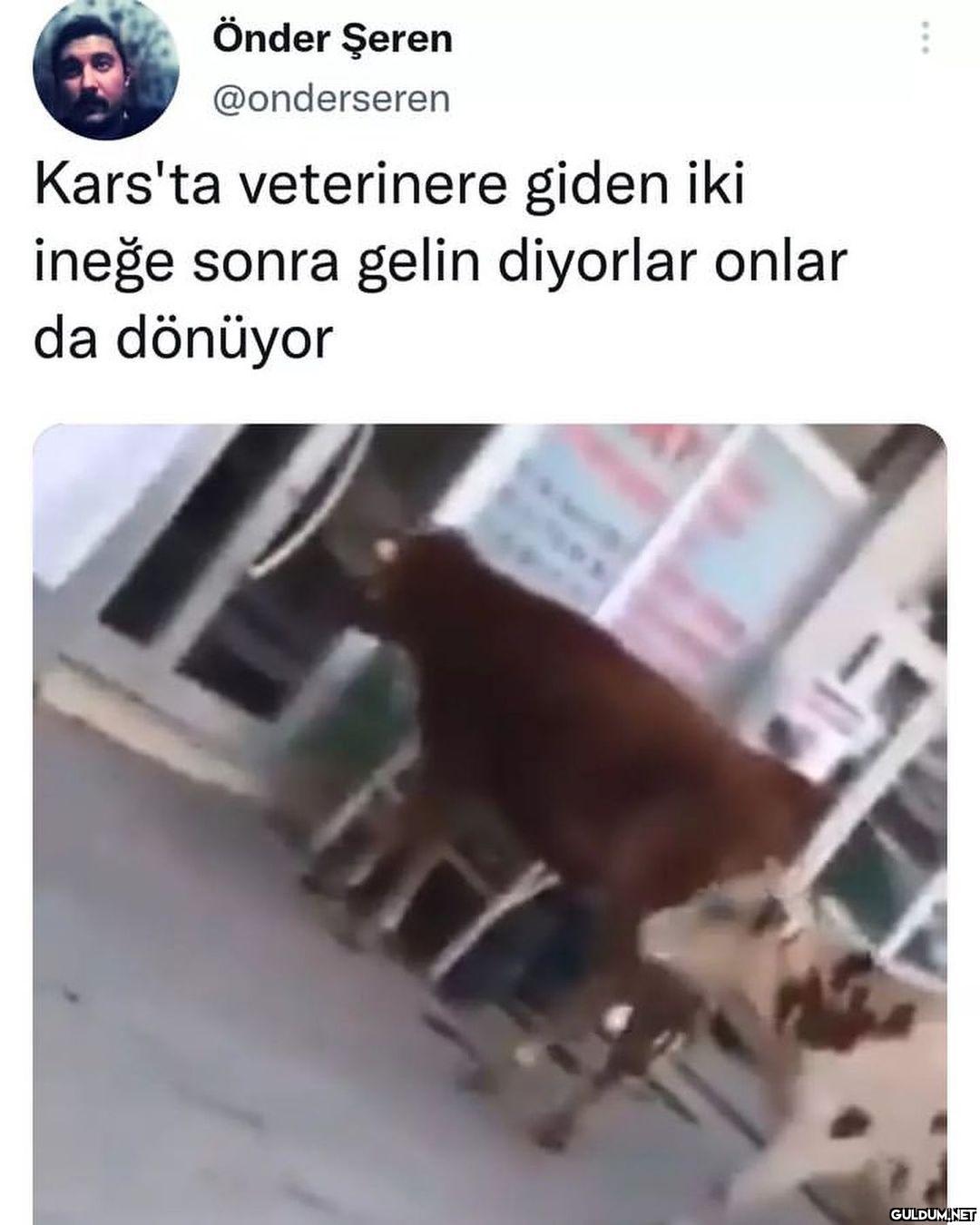 hahdhejajsjhejejdf   ...
