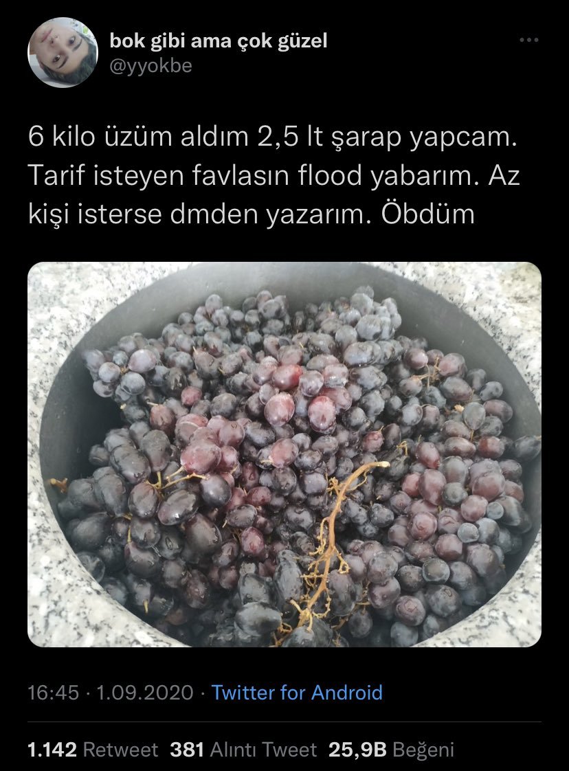 Çok yararlı bir flood....