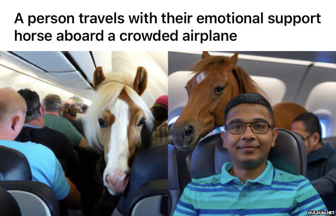 A person travels with...