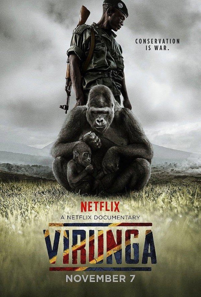 Virunga  İç savaşın...