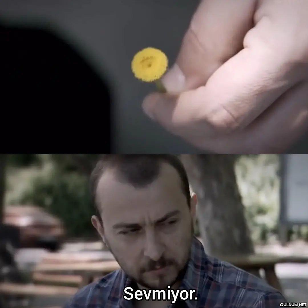 Ah be Mecnun......