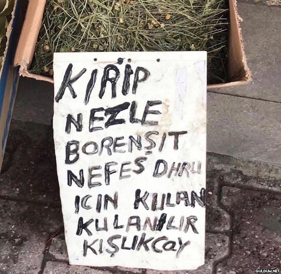 anlamsız fotoğraflar 23802...