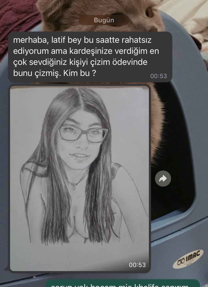 kardeşimin resim...