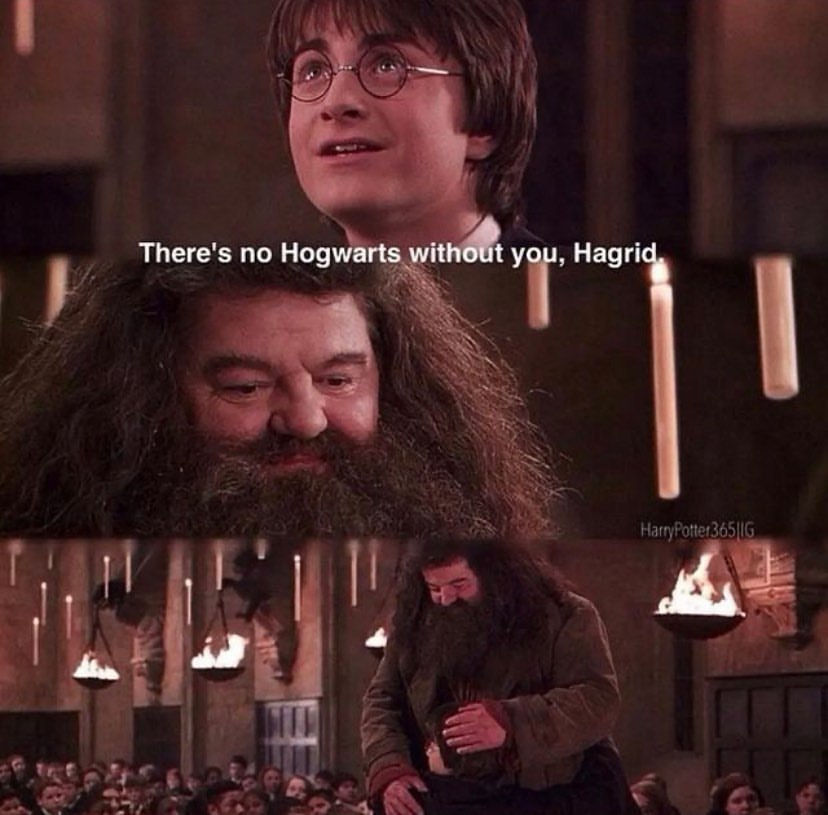 Hagrid (Robbie Coltrane)...