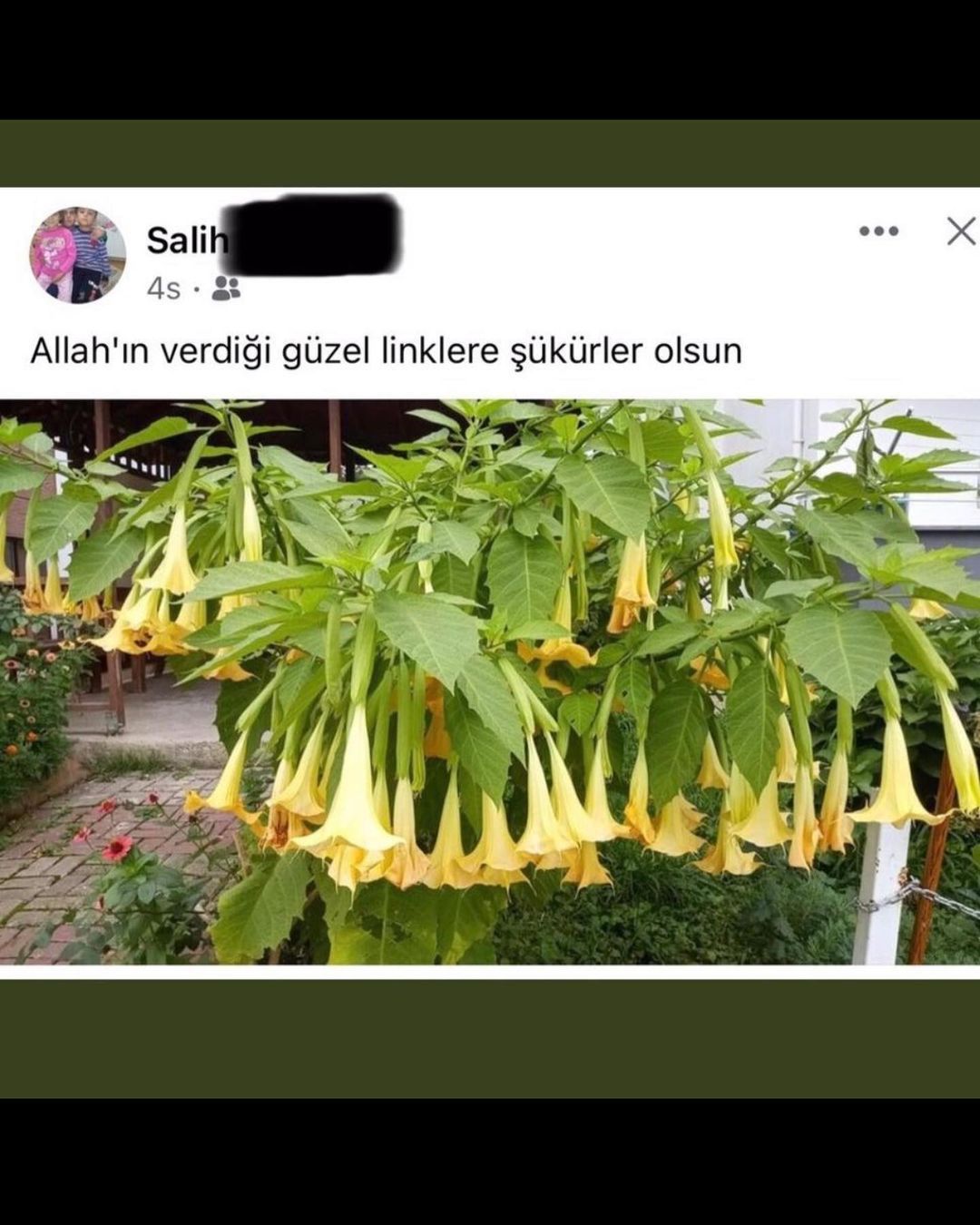 Kaydırmalı 👉   Kaynak