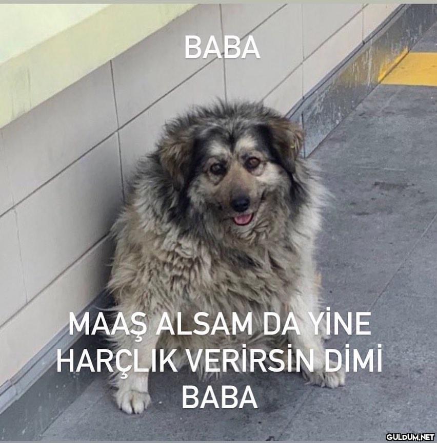 Bir kişinin birine...