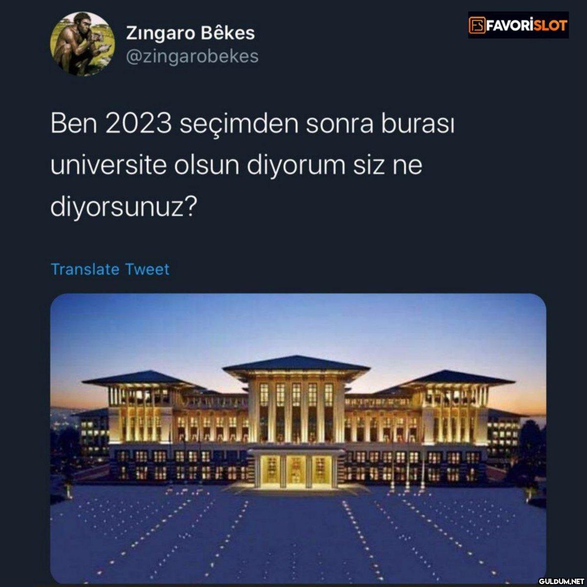 Zingaro Bêkes...