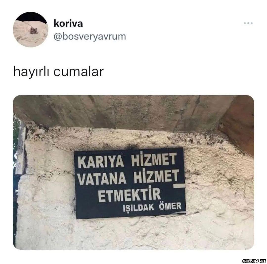 koriva @bosveryavrum...