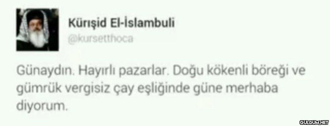 Inclusivity dilde başlar....