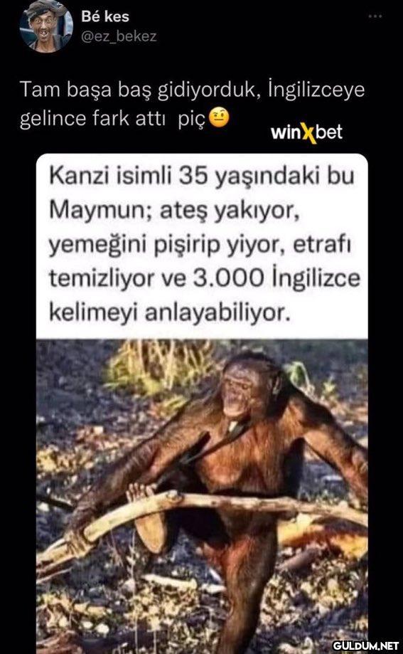 Bé kes @ez_bekez Tam başa...