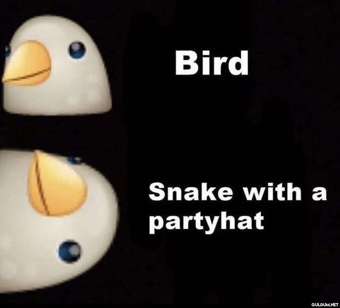 Popular post