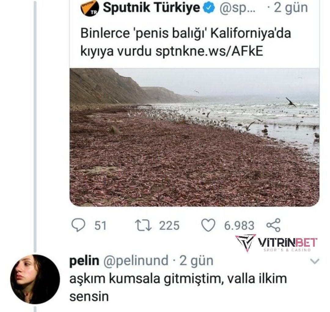 DJDKSKDKDJ...