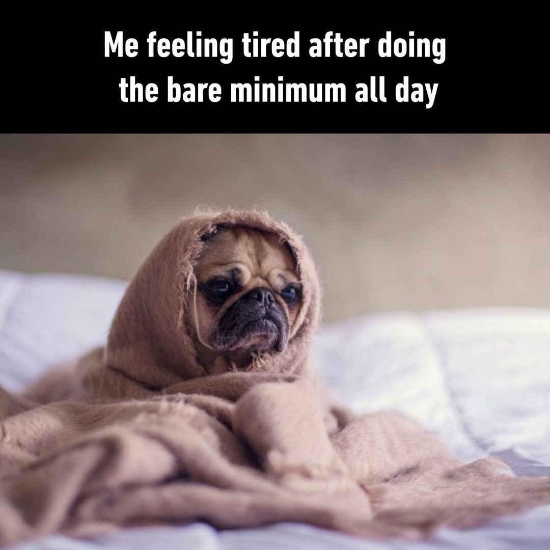 being awake is tiring  -...